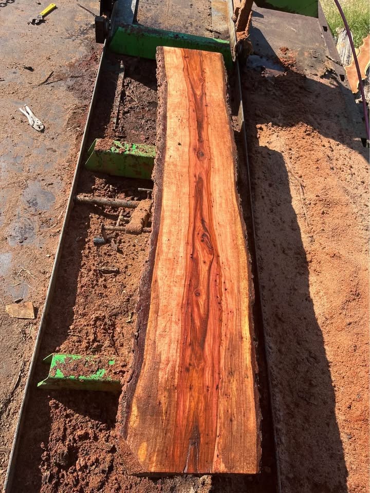 Brock Sawmilling - Image 2