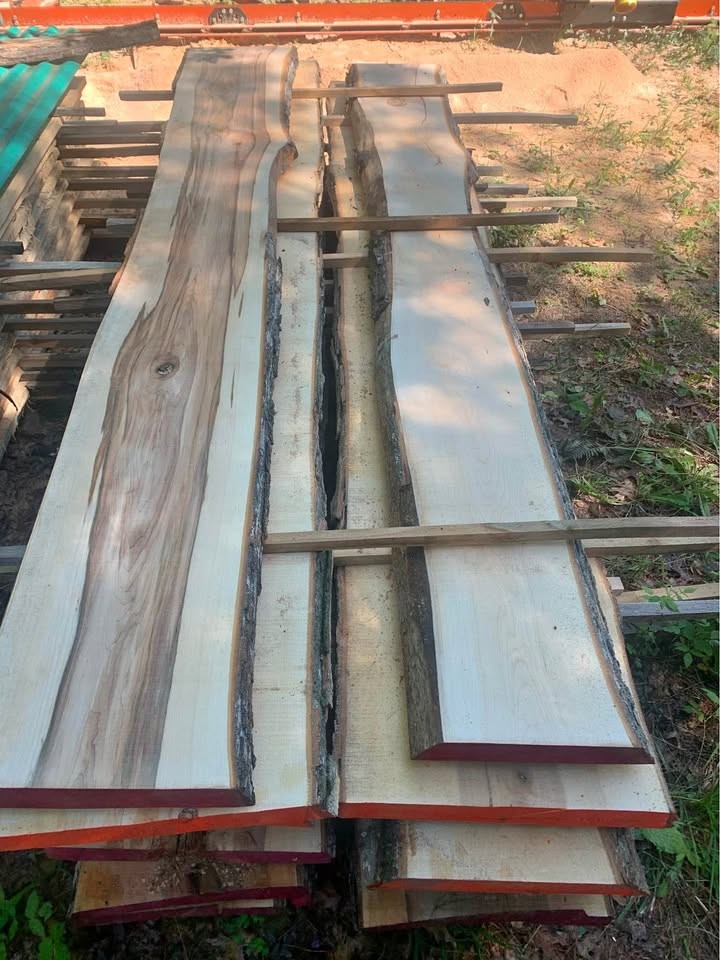 Live Edge Sugar Maple Boards - Image 1