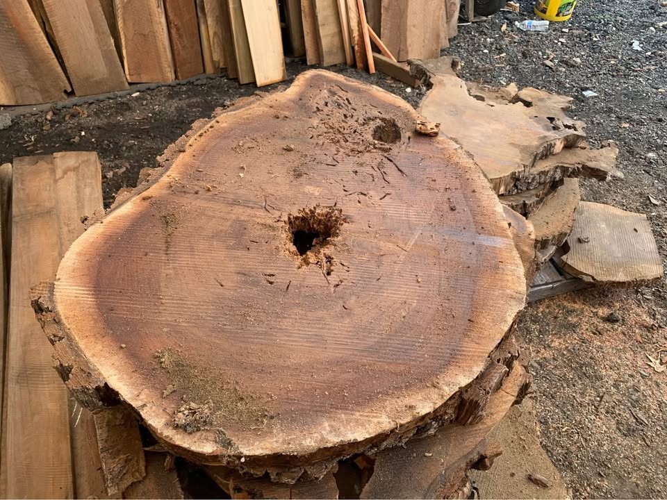 Black Walnut End Grain Slabs - Walnut Cookies - Image 2