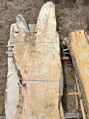 The Hardwood Wood Slabs
