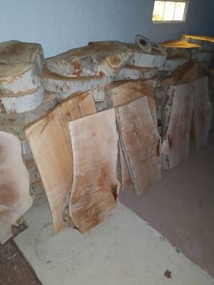 Trailer full of Sycamore sun dried slabs&rounds