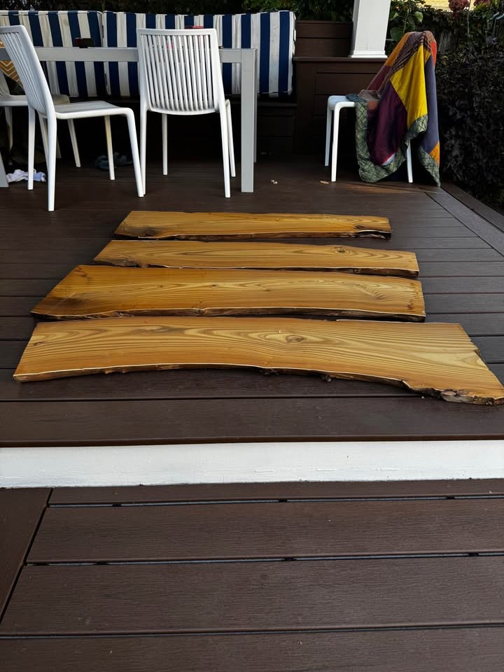 Live Edge Wood Slabs - Image 2
