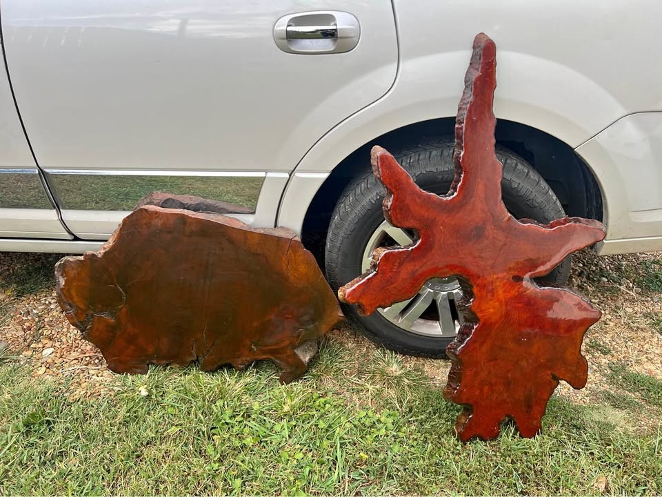 Large Live Edge Burl wood polished slabs - Image 1