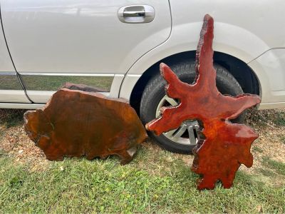Large Live Edge Burl wood polished slabs