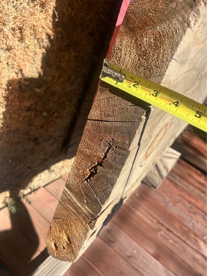 Raw wood. Great slab - Image 4