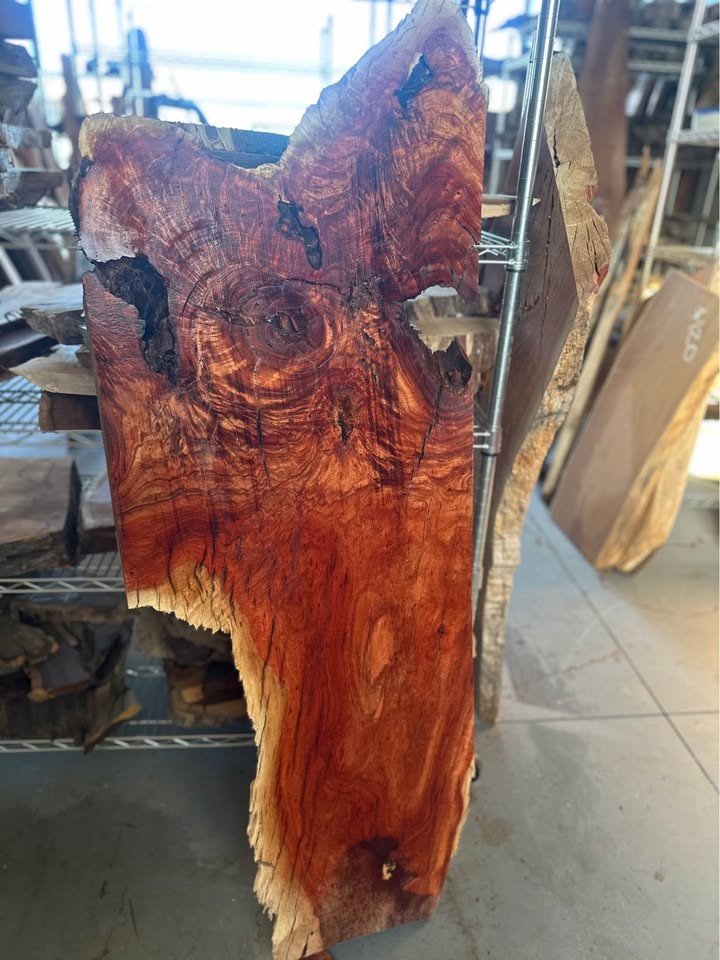 Eucalyptus live edge slabs - Image 2