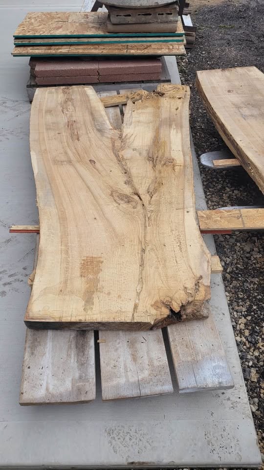 Hickory Wood slabs 3 inches thick - Image 4