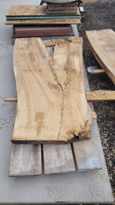 Hickory Wood slabs 3 inches thick