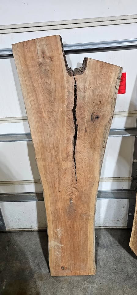 Live Edge Wood Slabs - Image 1
