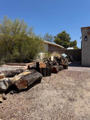 Live edge wood slabs and logs