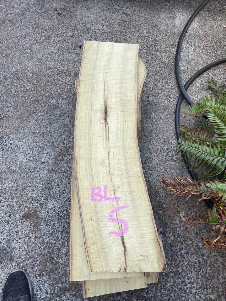 Live Edge Black Locust Wood Slabs - Image 2
