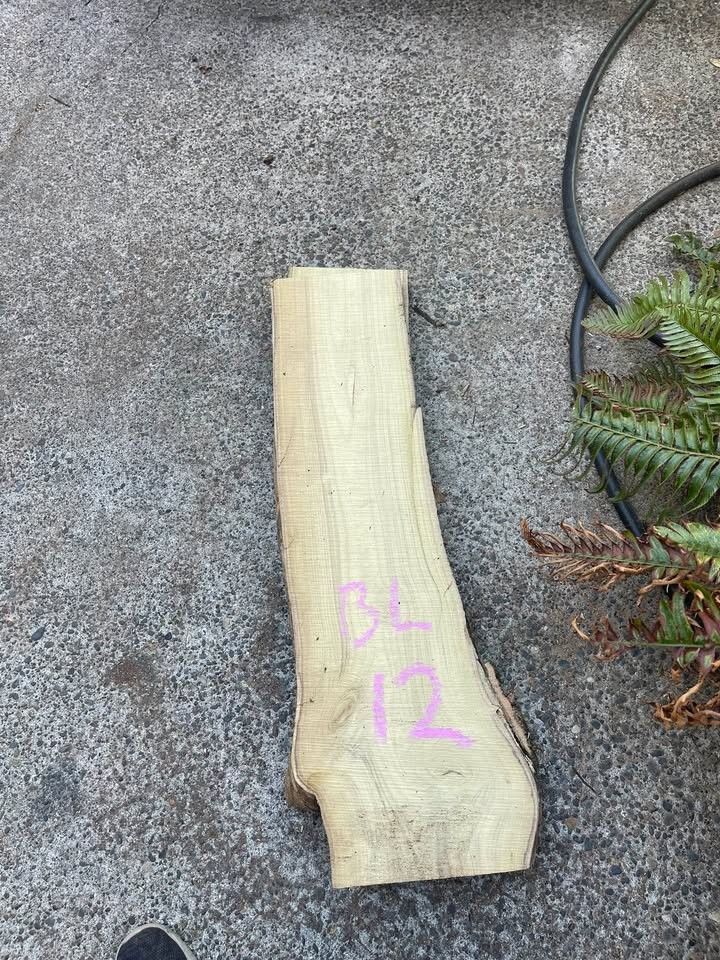 Live Edge Black Locust Wood Slabs - Image 9