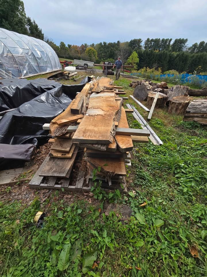Live edge wood slabs and beams - Image 4