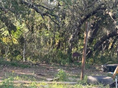 Oak wood for sale must pick up