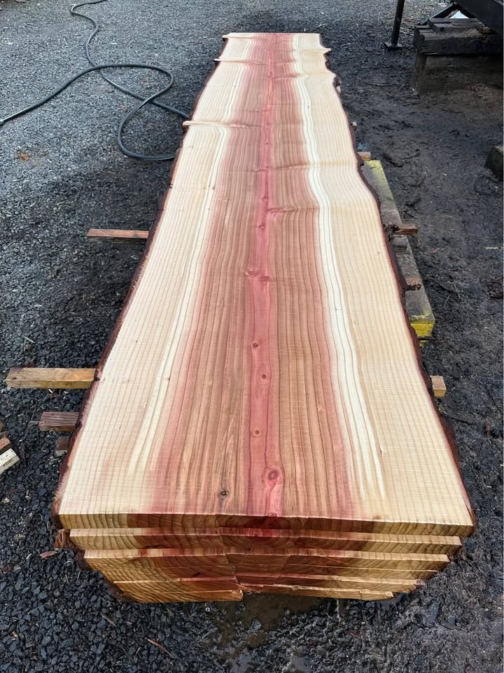 Sequoia Slabs - Image 7