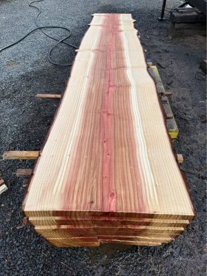 Sequoia Slabs