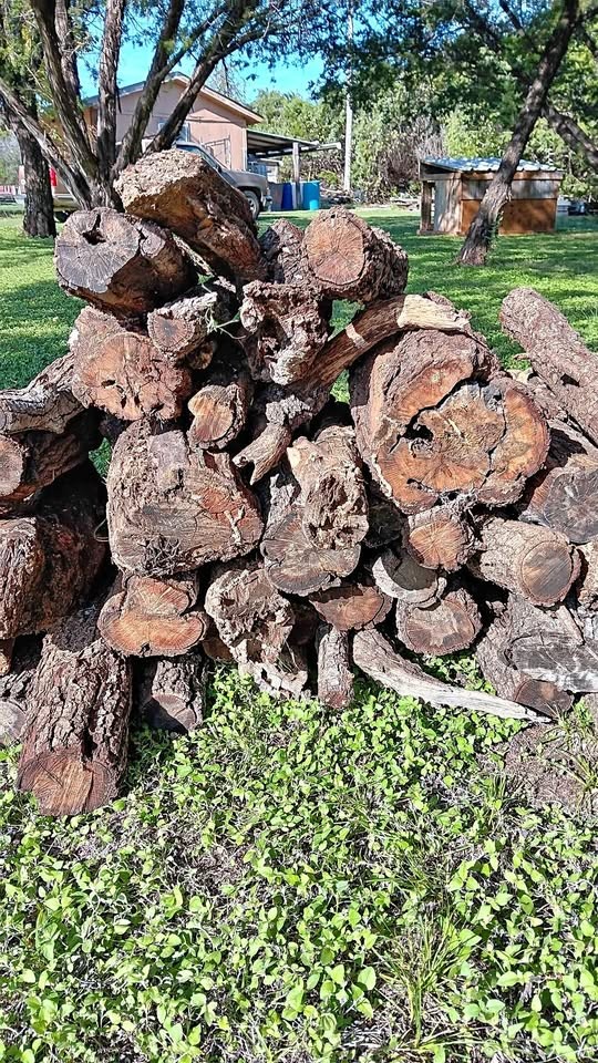 Wood - Image 1