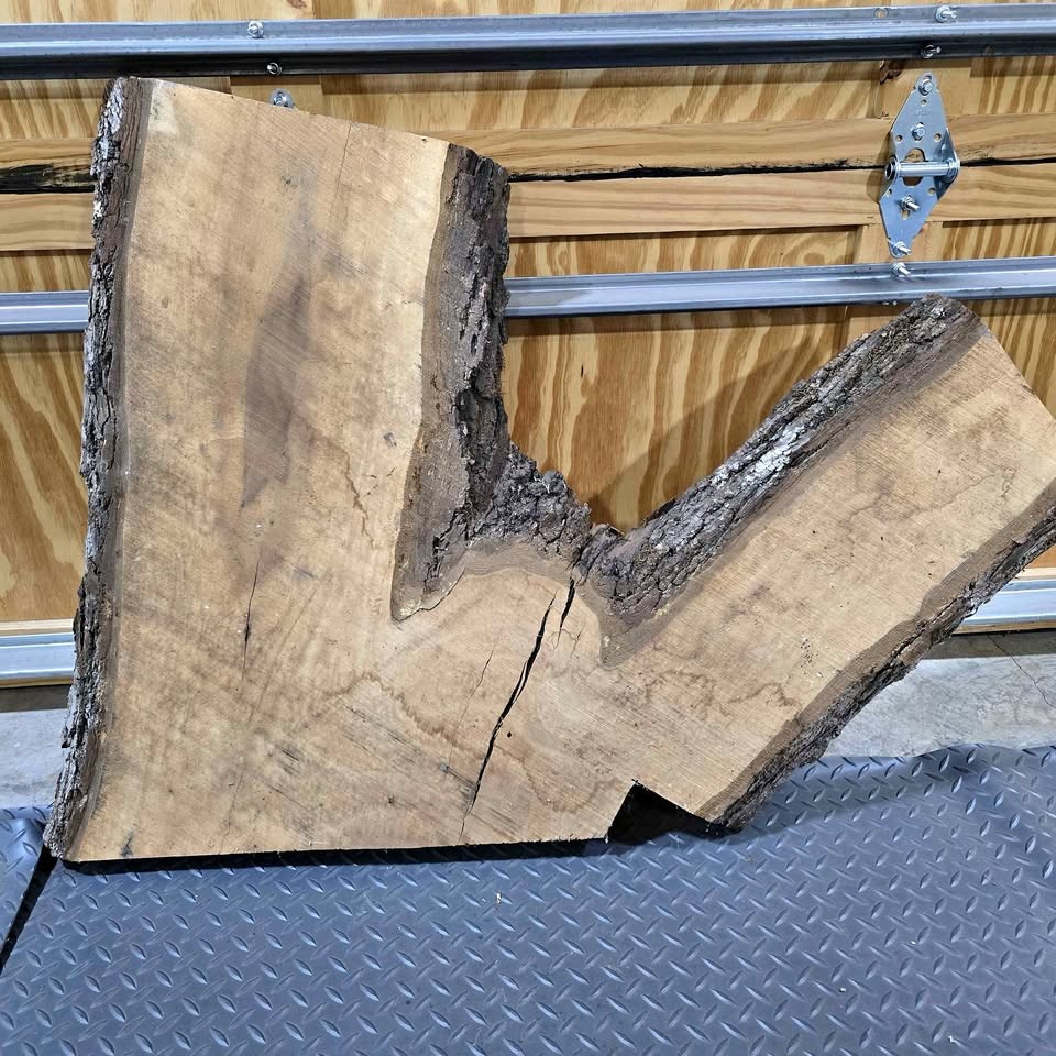 WALNUT CROTCH SLAB - Image 1