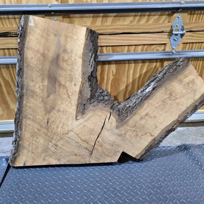 WALNUT CROTCH SLAB