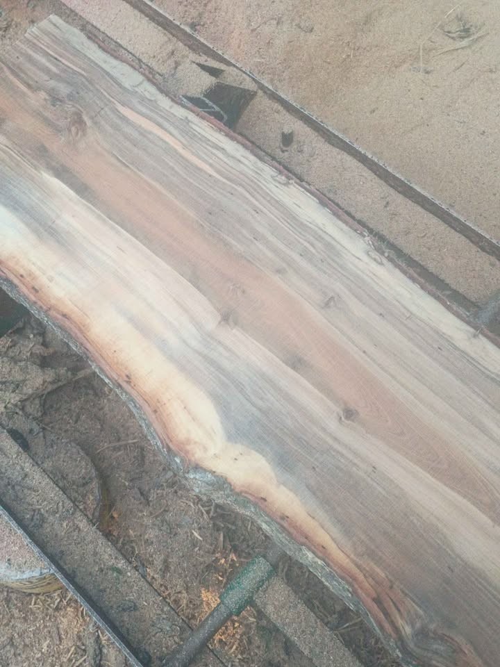 Wood slabs sale - Image 6