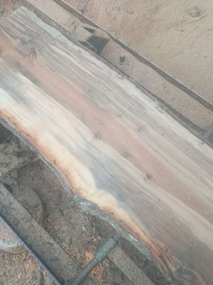 Wood slabs sale