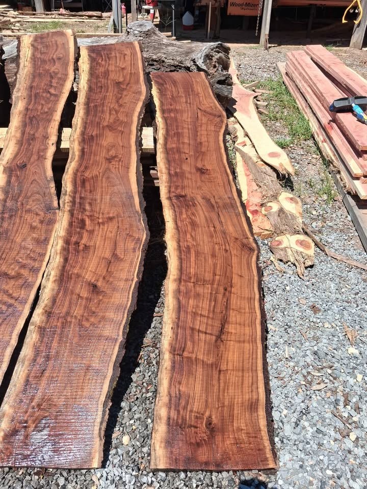 Live edge walnut slabs - Image 2