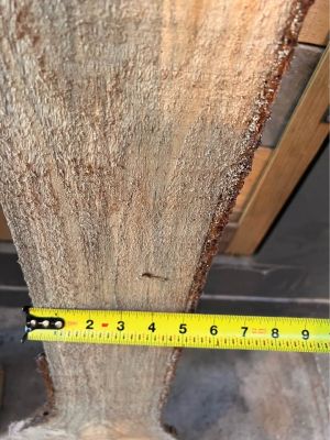 Live edge wood slabs white pine, and poplar 7 PCs for $20
