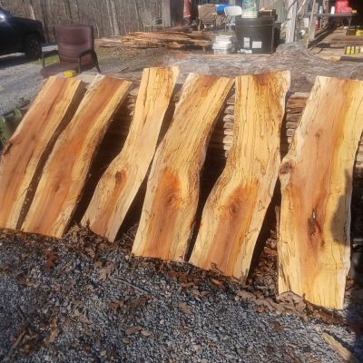 Walnut live edge boards