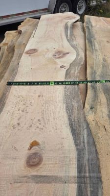 White pine slabs one inch