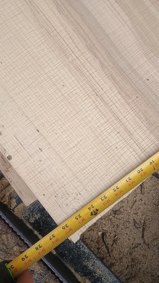 Ash slabs - Image 4