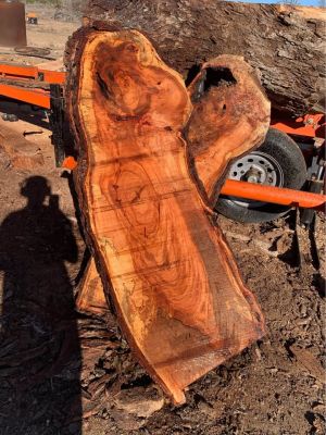 Spalted Pecan