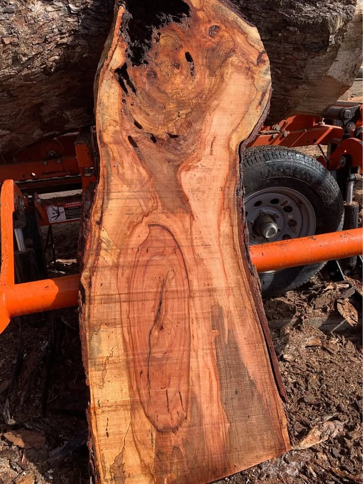 Spalted Pecan - Image 6