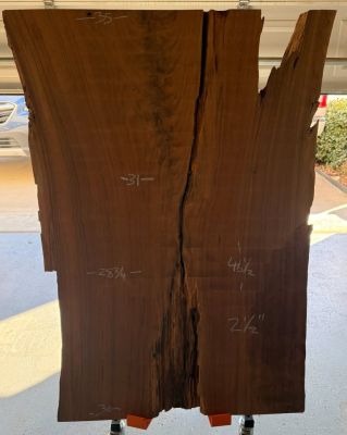 Live Edge Black Walnut Slab - Hit By Lightning - 2 1/2" thick x 46 1/2" long
