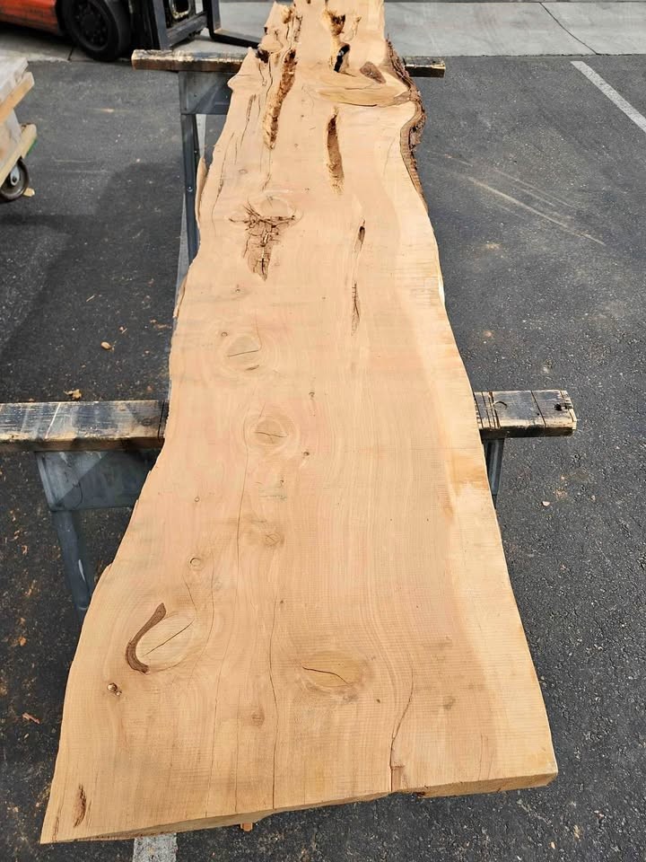 Live Edge Wood Slab - 3x22x9.5ft - Kiln Dried Juniper - Epoxy Project Material - Image 1