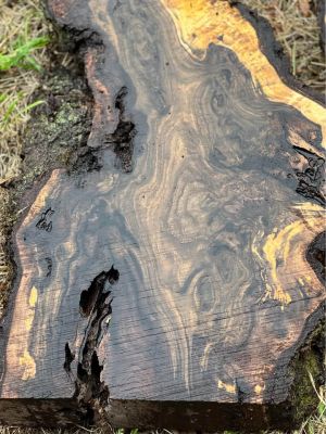 Bookmatched extremely figured walnut slabs