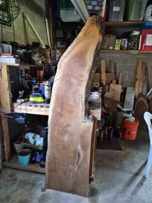 Live Edge Wood Slab
