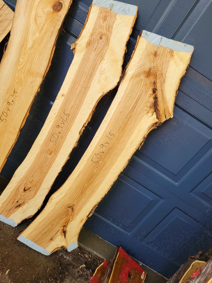 Ash wood slabs, 50" long, live edge lumber - Image 5