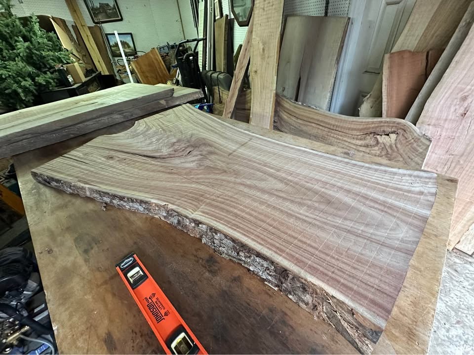 Big Camphor Slab Dried/Flattened - Image 8