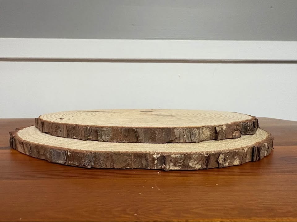 Pine Wood Slices - Image 2