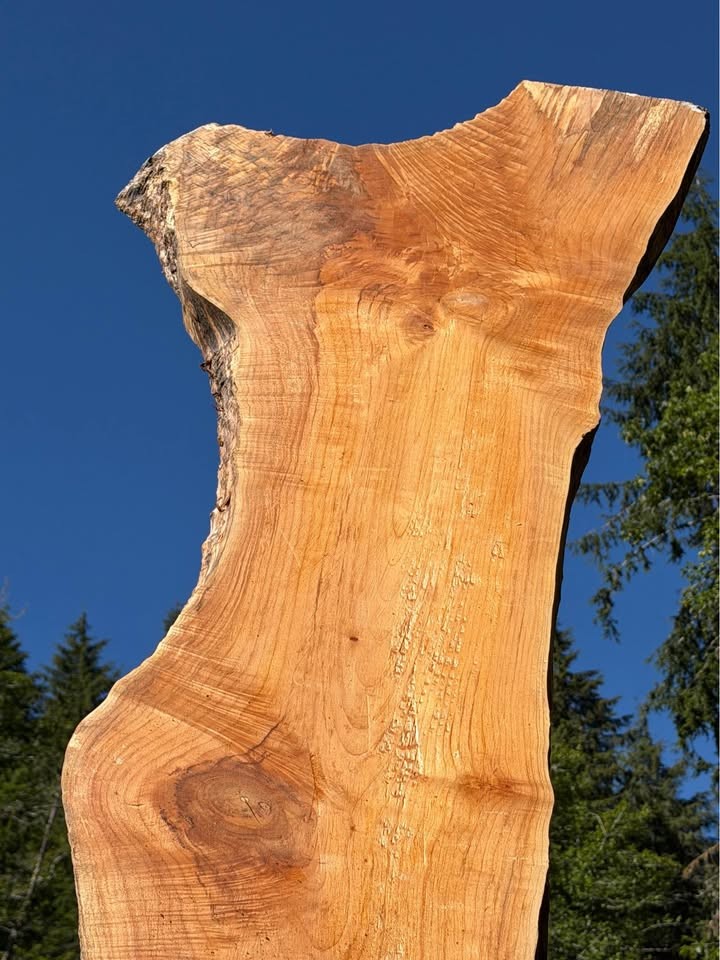 Live Edge Slab nice figure 13 ft. Long Bar or Tabletop air dry 13% max moist - Image 2