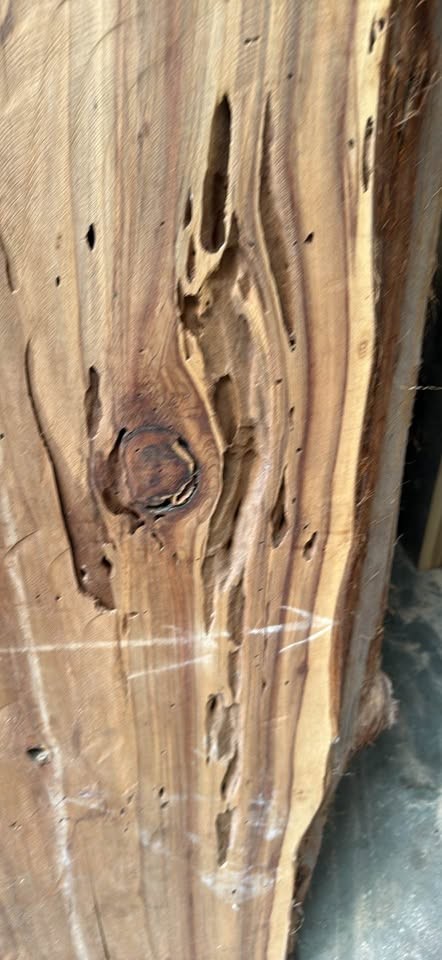 Thick Redwood Live Edge Slab – 75” x 21–29” x 3” - Image 2