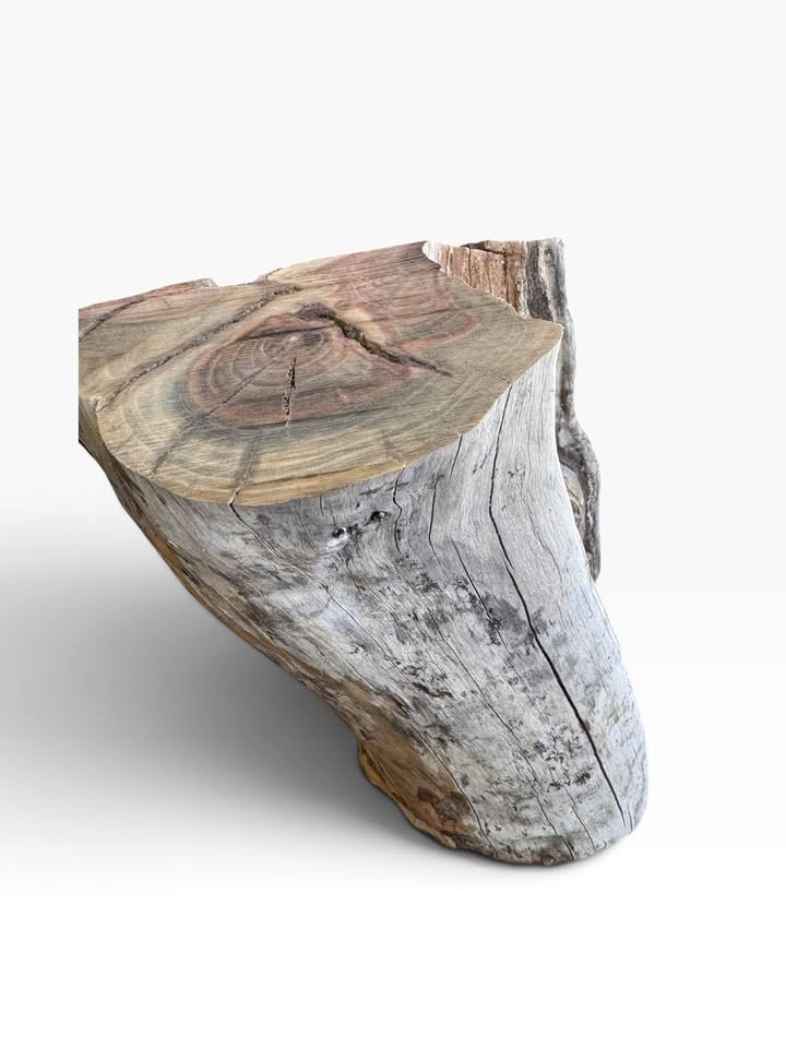 Pistachio Bowl Blank 12x12x5 DRY 8% MC Live Edge Woodturning Lathe Wood LARGE - Image 3