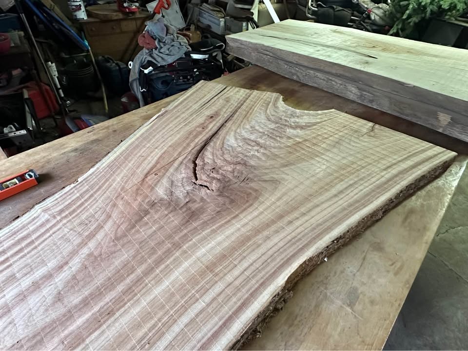 Big Camphor Slab Dried/Flattened - Image 6