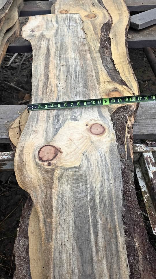 White pine slabs 1/2 inch - Image 1