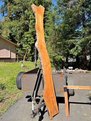 Live Edge Slab nice figure 13 ft. Long Bar or Tabletop air dry 13% max moist