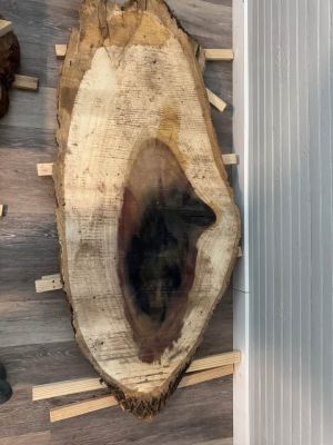 Rainbow Poplar Slab