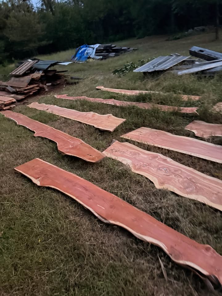 Live Edge Cedar Wood Slabs - Image 4