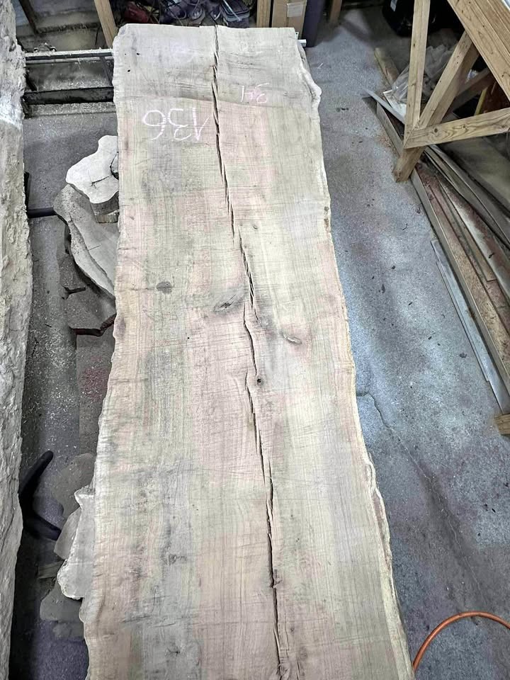 Rare Extra Long White Oak Slab — Kiln-Dried & Ready to Build - Image 1