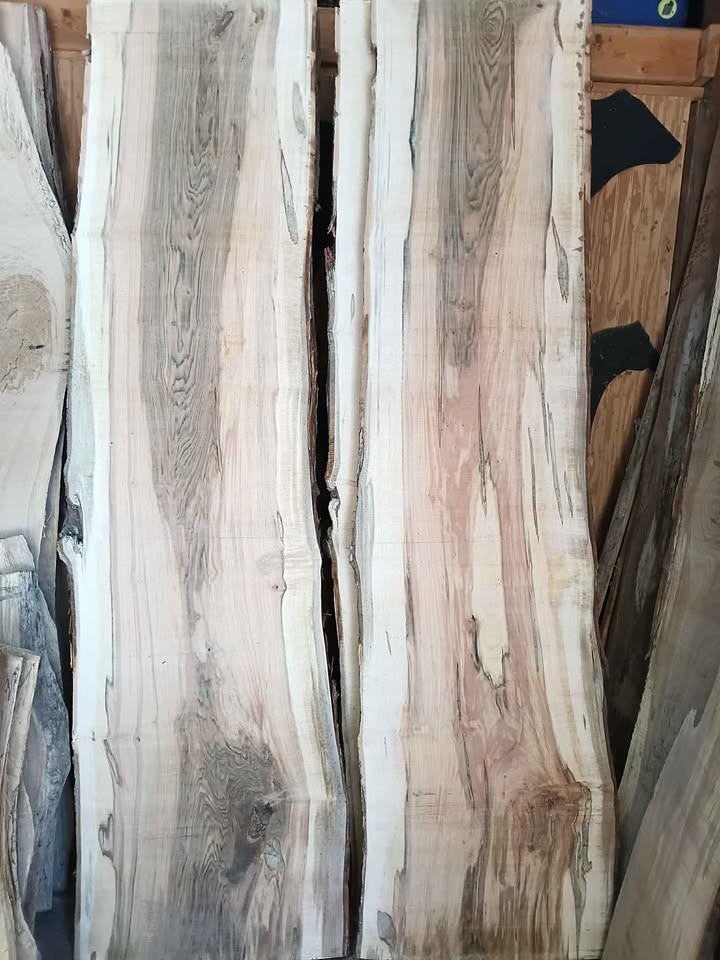 Live edge ambrosia Maple slabs - Image 3