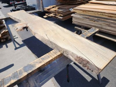 Wood Project Live Edge Slab - 1x20x8.5ft